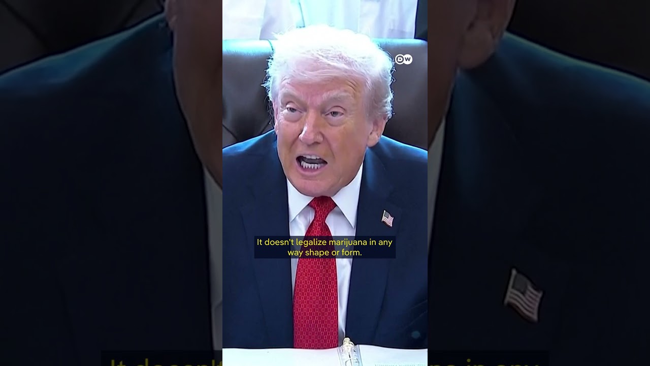 High hopes for US cannabis businesses | DW News