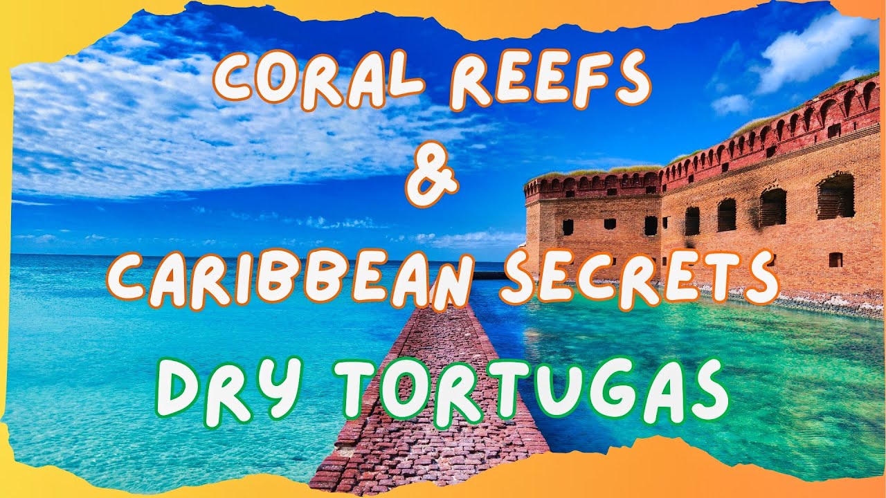 Epic Island Adventure at Dry Tortugas National Park | Snorkeling & Fort Exploration