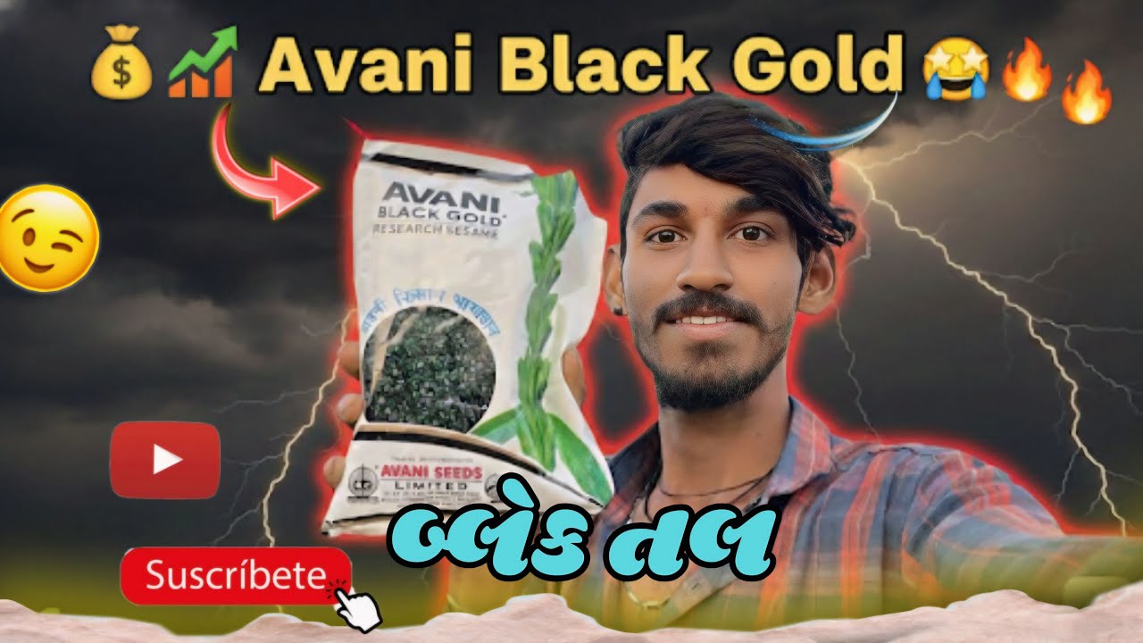 કાળા તલ નું વાવેતર | અવની કાળા તલ | Avani Black Gold |😮#farming #black #khetibadi 