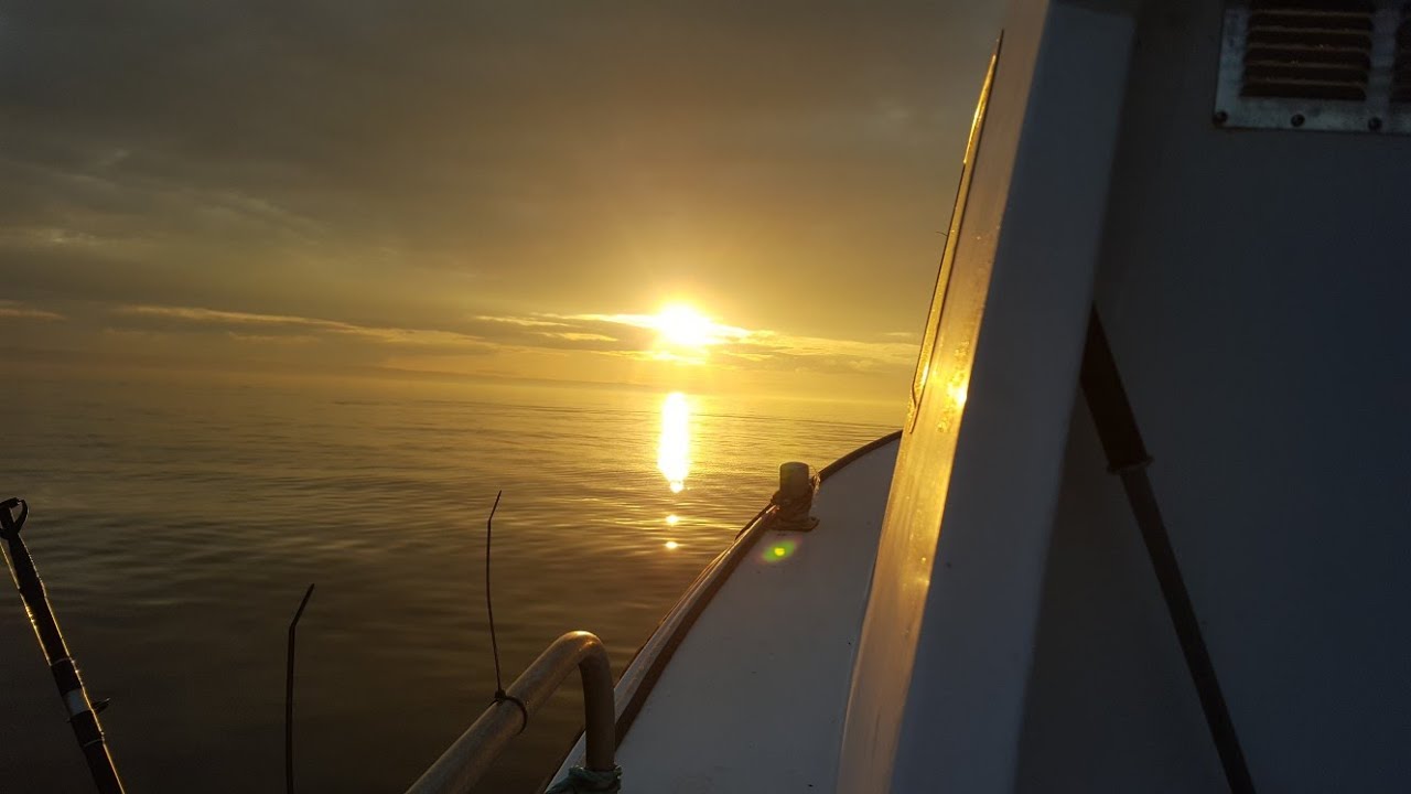 Boat Fishing For Codling + Catch and Cook
