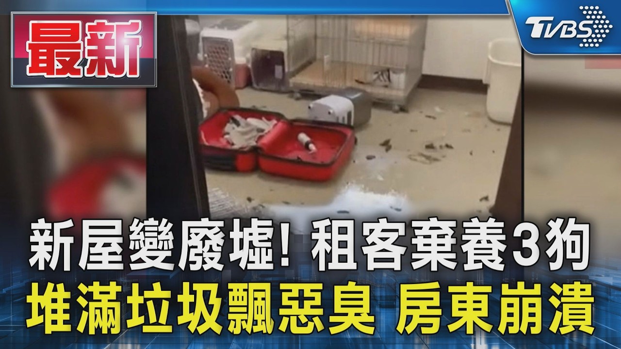 新屋變廢墟! 租客棄養3狗 堆滿垃圾飄惡臭 房東崩潰｜TVBS新聞 @TVBSNEWS01