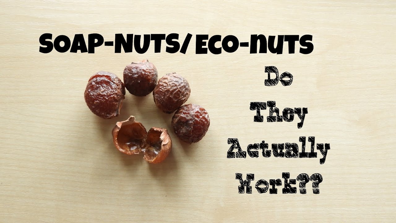 Soap-nuts/Eco-nut all u need to know