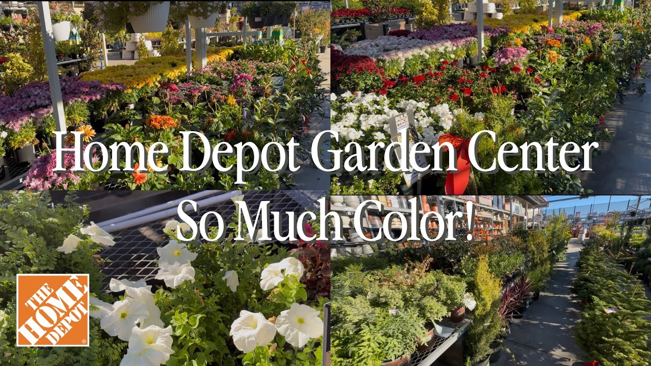 Shopping Trip To Home Depot’s Garden Center In December! 😱|| Visit Our Garden