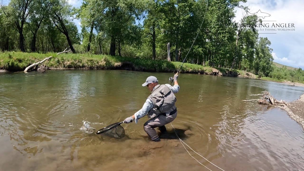 Mongolia Fly Fishing part.2 (Lenok e amur trout)