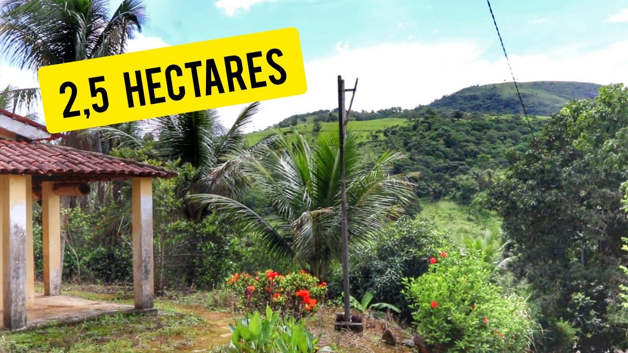 SÍTIO A VENDA EM BATATEIRA PE COM 2,5 HECTARES E COM PREÇO EXCELENTE!!