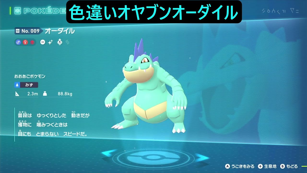 色違いオヤブンワニノコ ポケモンレジェンズZA M次元ラッシュ Pokémon LEGENDS Z-A Mega Dimension 