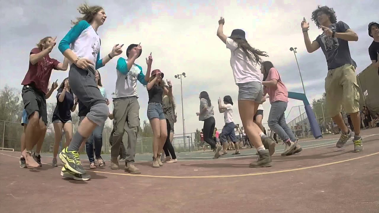 התיכון לחינוך סביבתי עדלאידע 2016