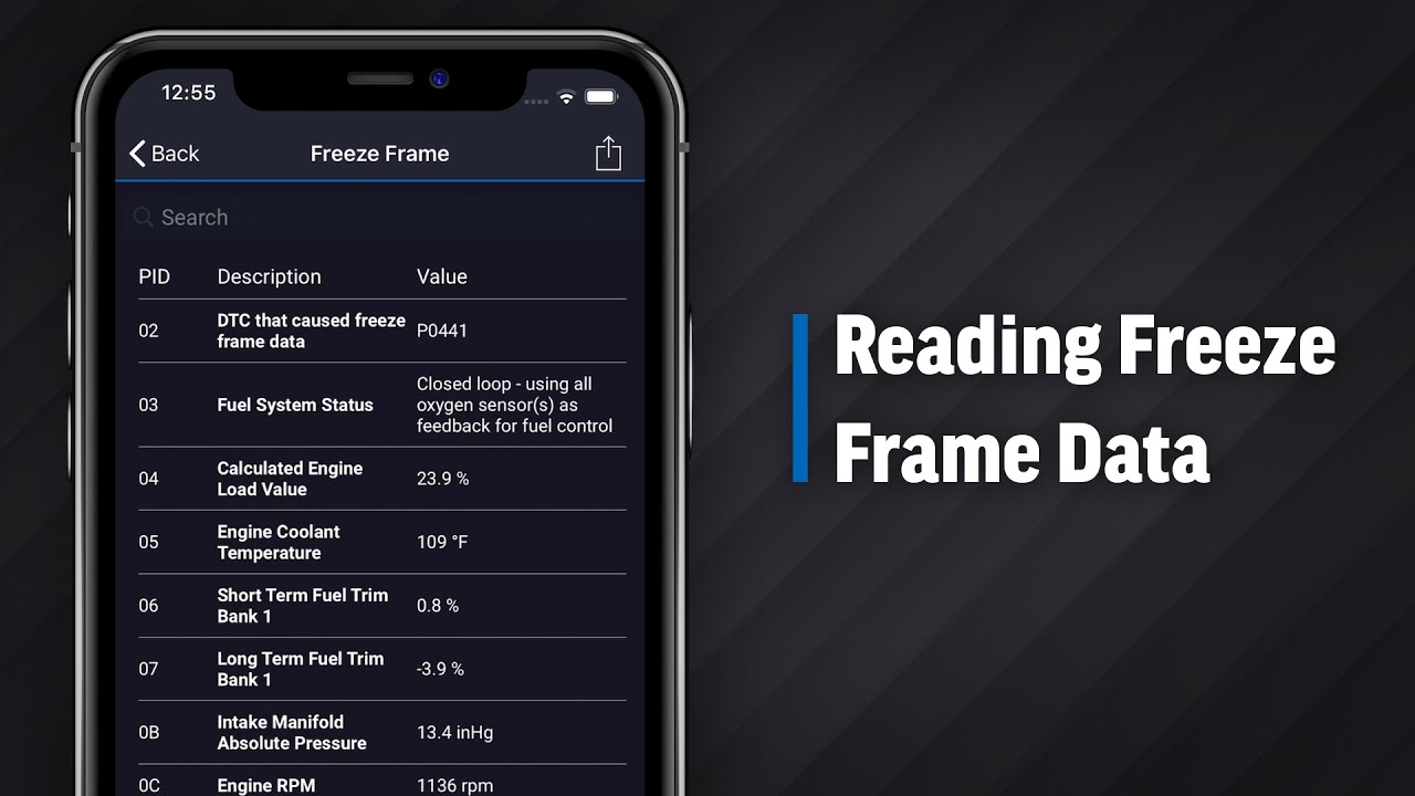 Reading Freeze Frame Data