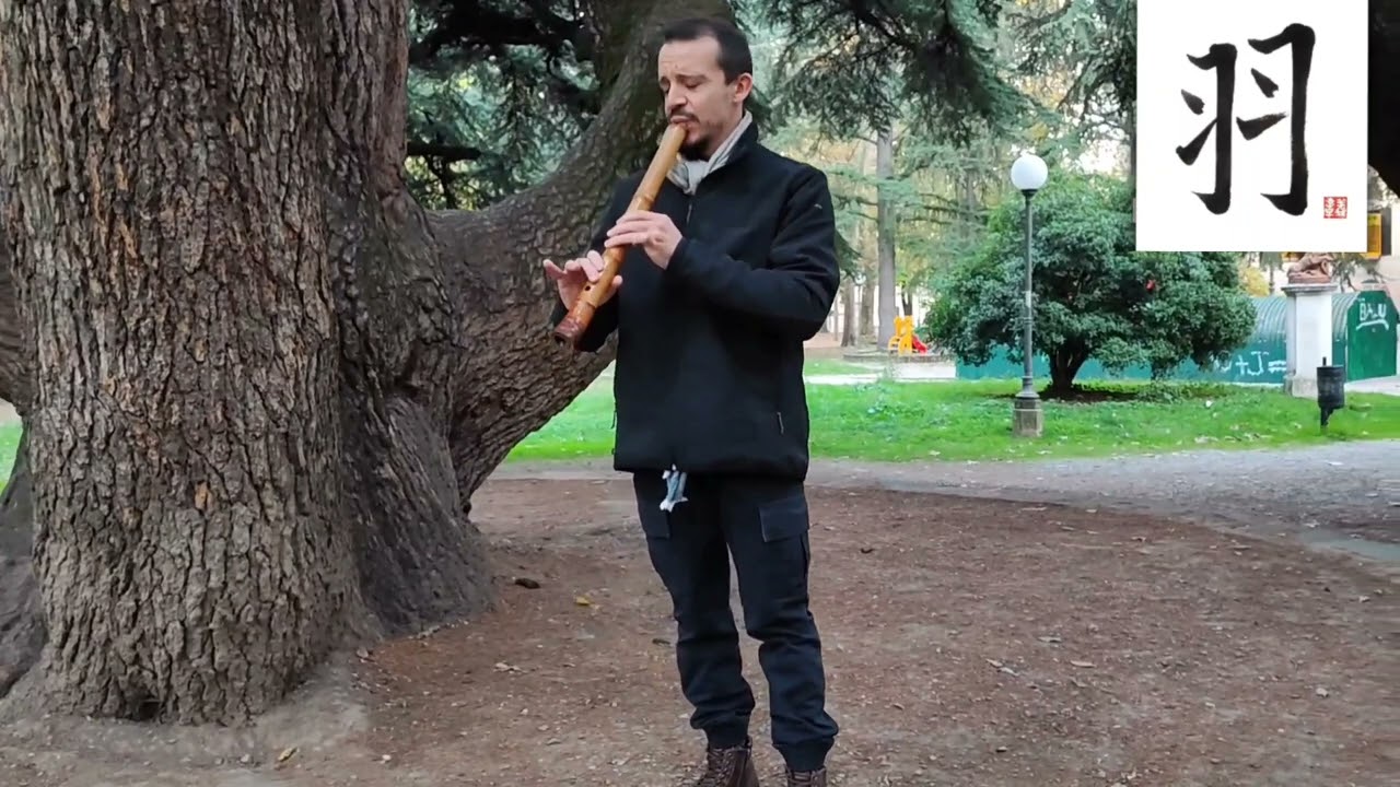 Improvisation of the old tree 🌳 Zen Shakuhachi Flute