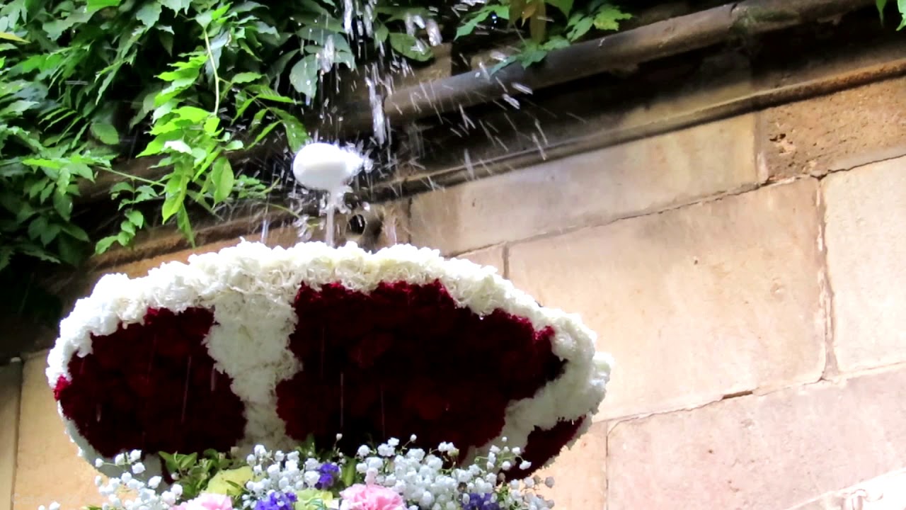 L'Ou com Balla - Casa de l'Ardiaca, Barcelona 2018