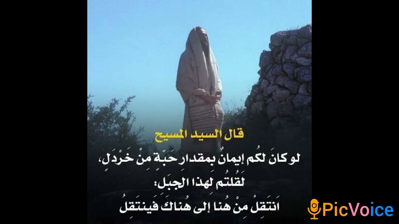 #ترنيمة_لو_ايمانكم_حبة_خردل 🙏🏻🤍✨