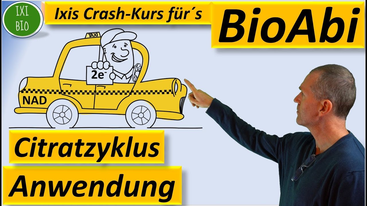Citratzyklus Aufgaben - Anwendung Abiturrelevante Übungen zum Zitronensäurezyklus (Krebskreis)