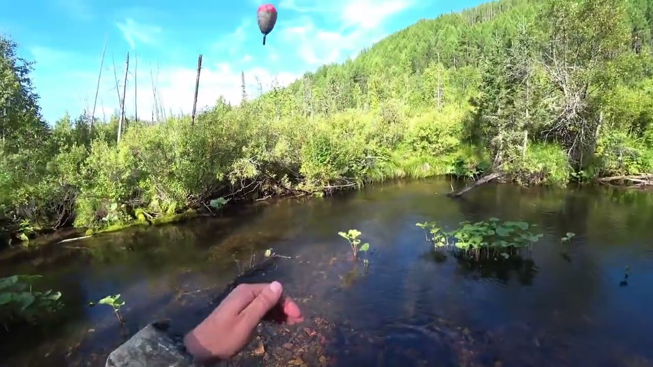 Речушка в Дичайшей Тайге/ Забрели в ДИКИЕ Места и Наловили по КАНУ Хариуса!!!