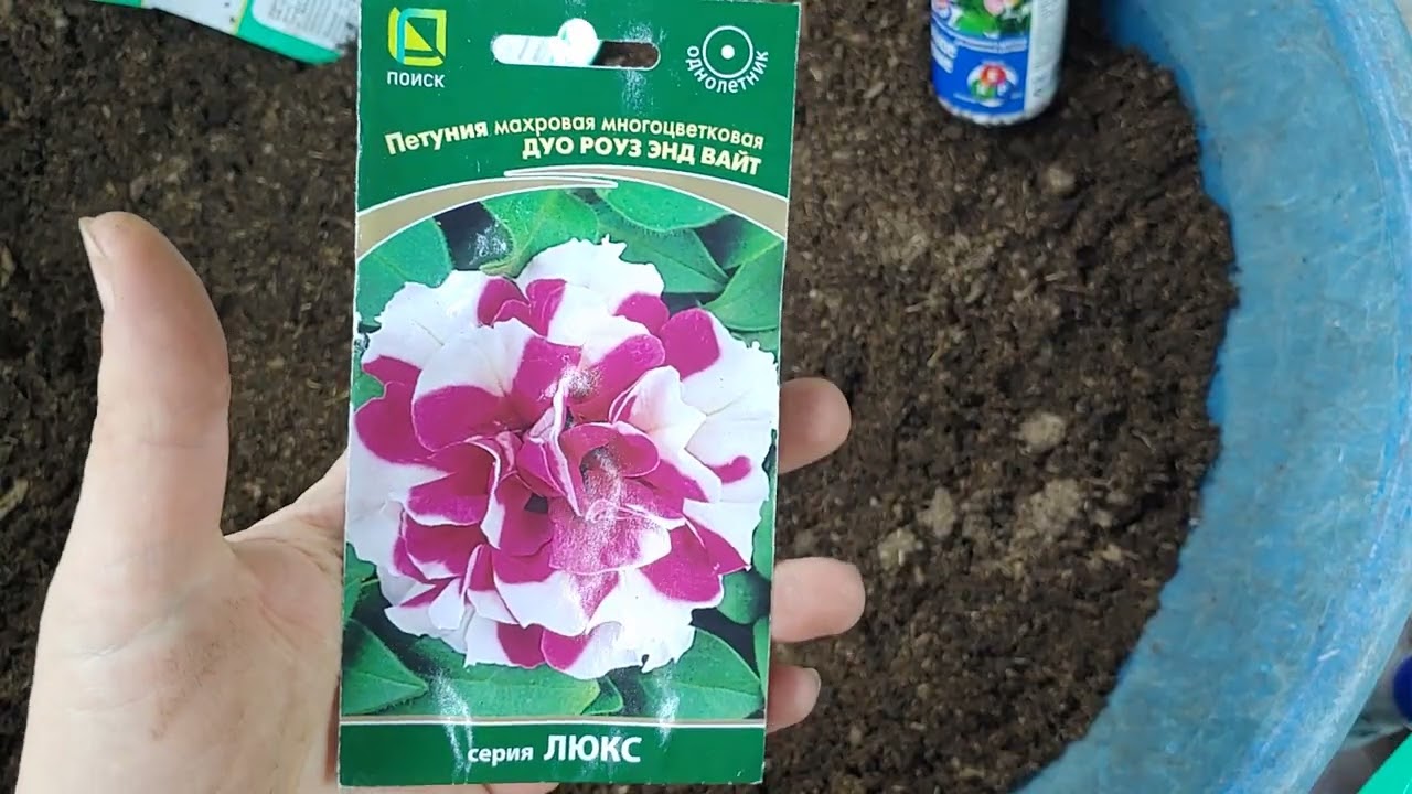 Семена профессиональная или любительская упоковка