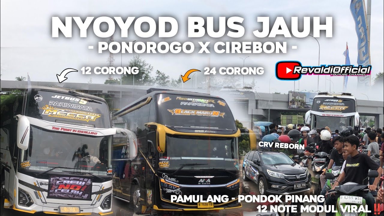 MOMEN LANGKA BUS ARTIS MAEN KE TANGSEL MECCA X BLACK MARLIN‼️