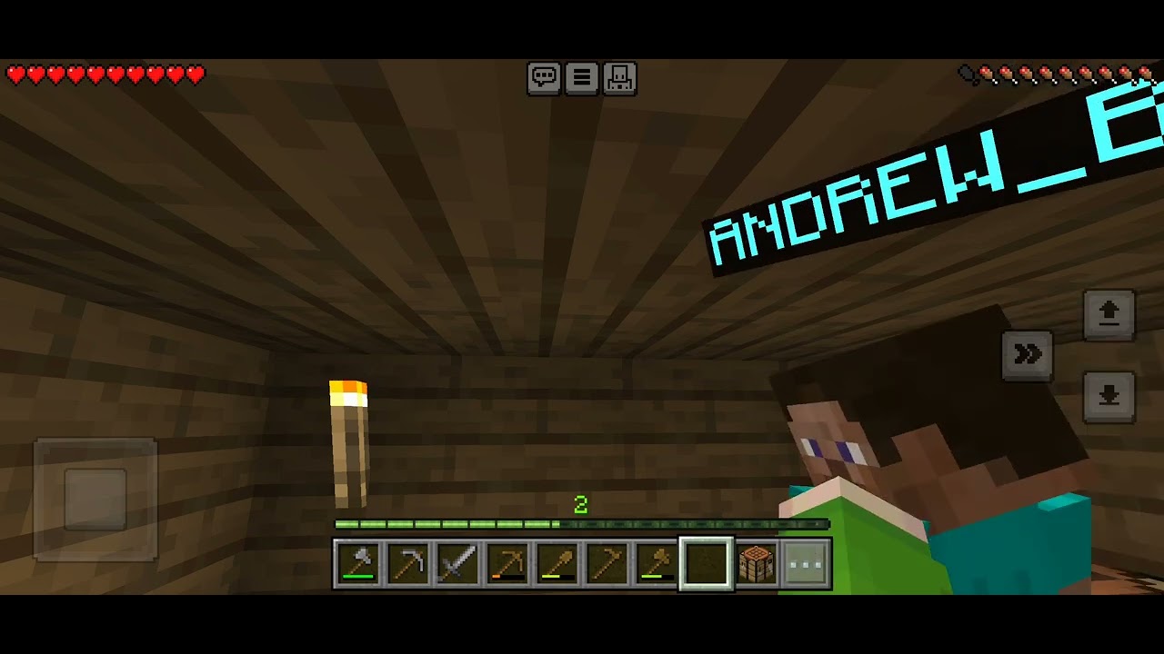 another video of me and my little brother surviving in minecraft