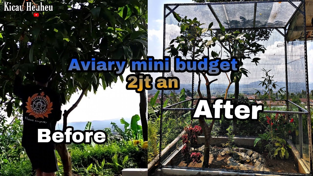 PEMBUATAN AVIARY MENGUNAKAN BAHAN BESI SIKU LUBANG MUDAH DIPASANG TANPA DILAS || EPS.01