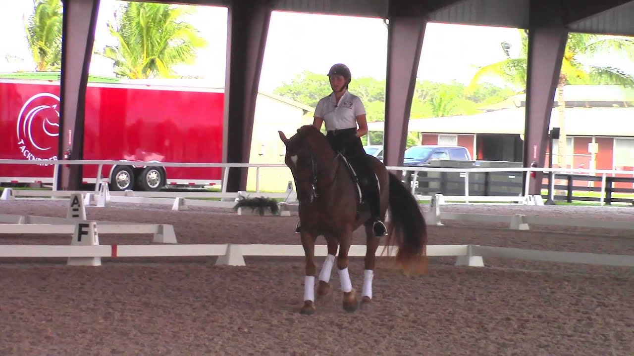 Debbie McDonald Introducing the Half Steps in Dressage