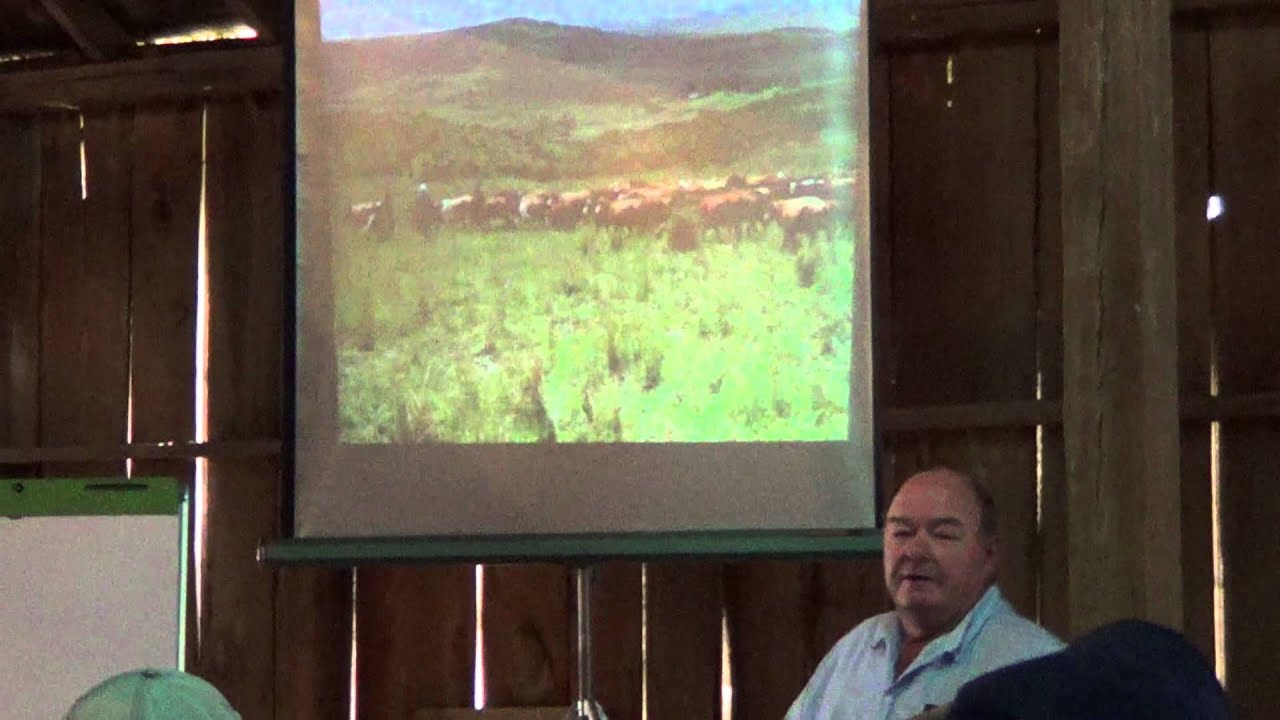Holistic Beef Management - 1 of 11