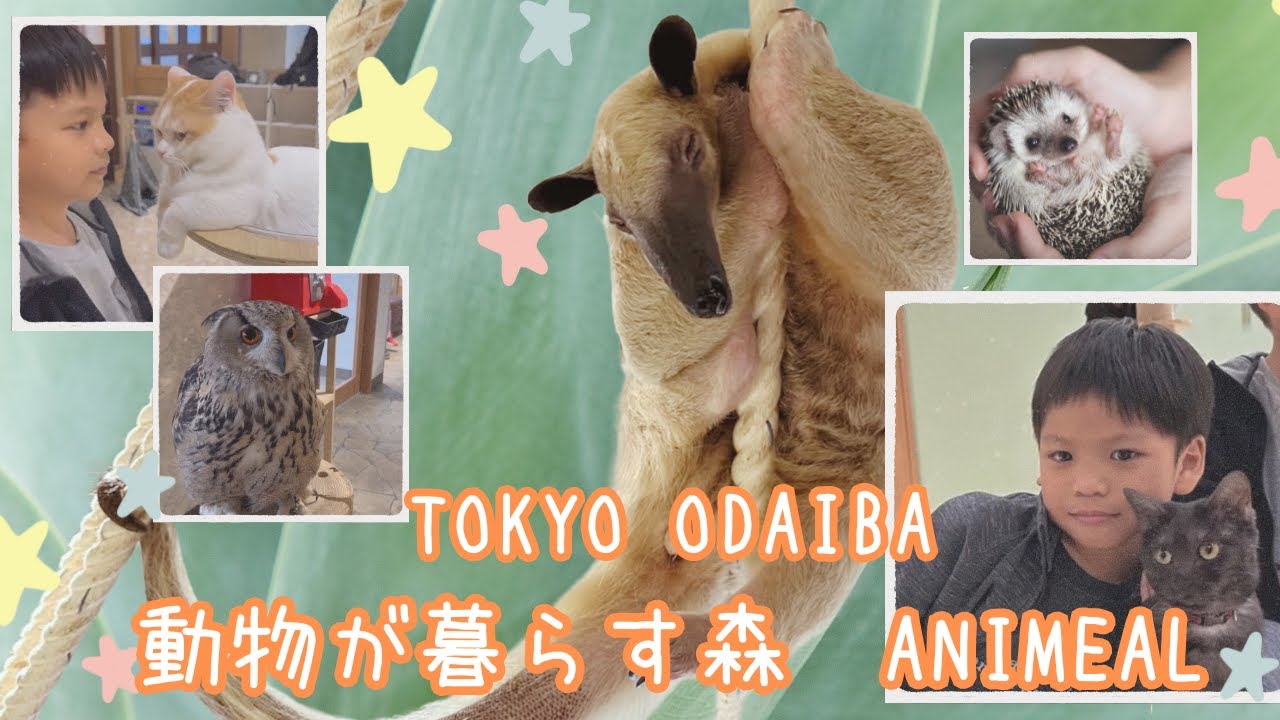 【TOKYO ODAIBA】お台場 動物達が暮らす森 ANIMEAL
