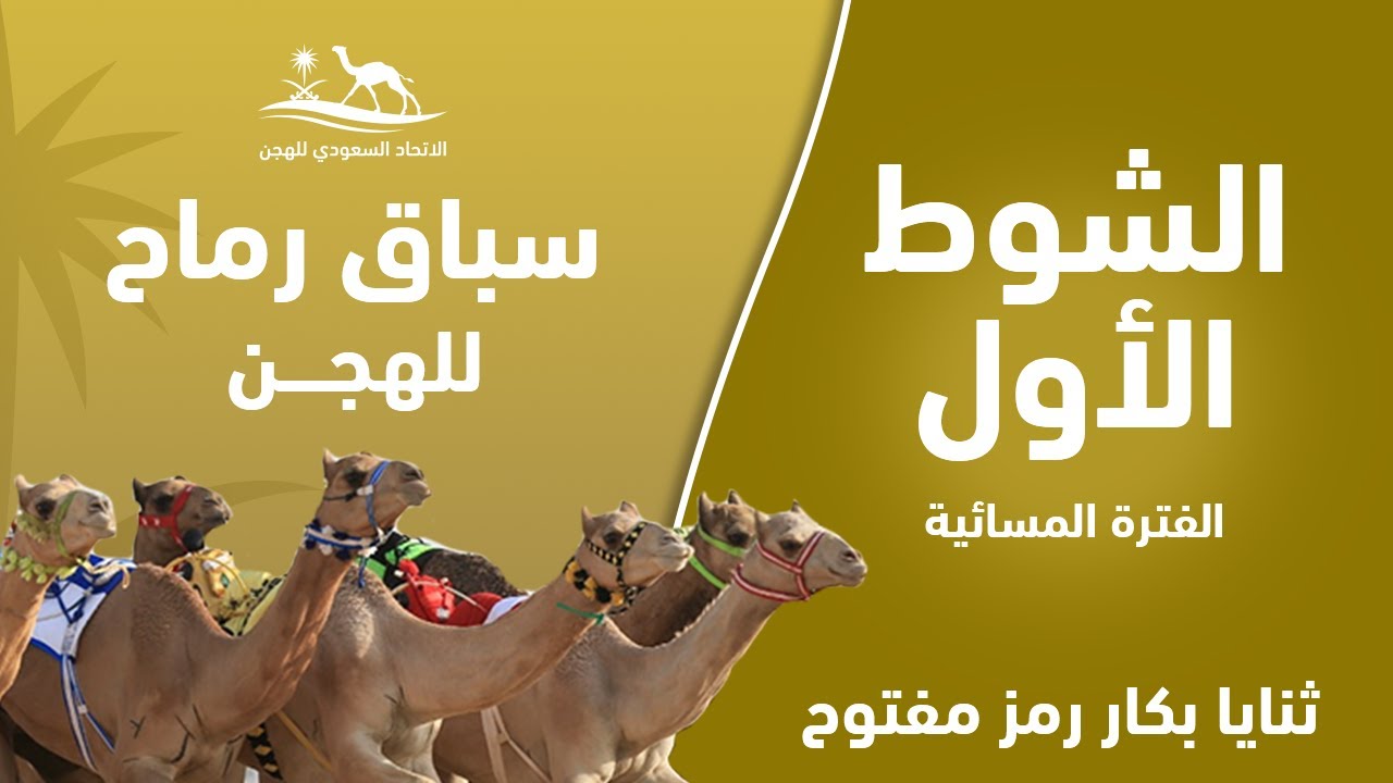 الشوط 1 ثنايا بكار مفتوح رمز مساء يوم الأحد 29-11-2020 من #سباق_رماح_للهجن