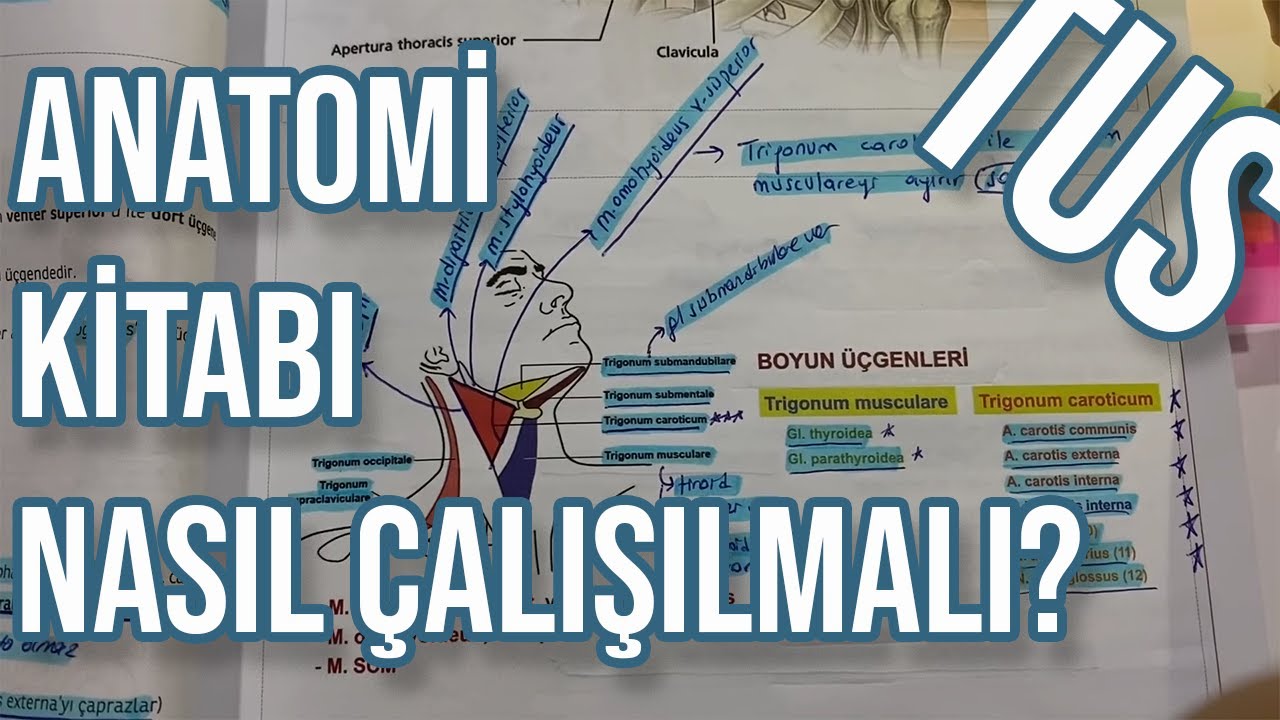 TUS Anatomi Nasıl Çalışılmalı? | Anotomi Kitap İncelemesi | TUS 7'ncisi Nasıl Çalıştı?