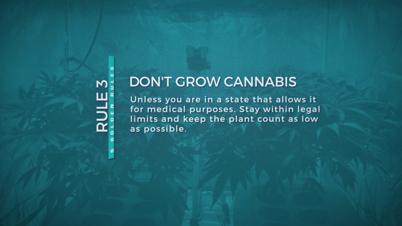 Five Golden Rules - 420 Evaluations Online