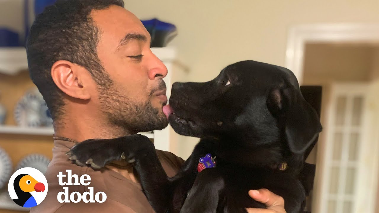 Rescue Puppy Who Keeps Getting Returned Finds Someone Who Understands Him | The Dodo