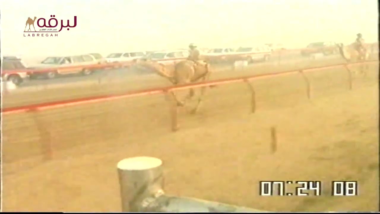 مبدع لـ فيصل طالب شريم المري (سباق ولي العهد 10-1-2005) البندقية الفضية جذاع قعدان -التوقيت: 9:49:00
