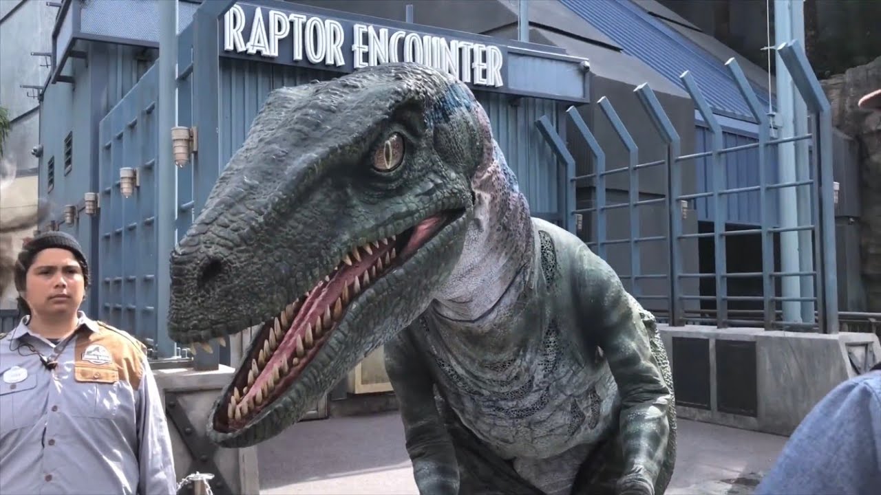 Raptor Encounter with Baby Blue