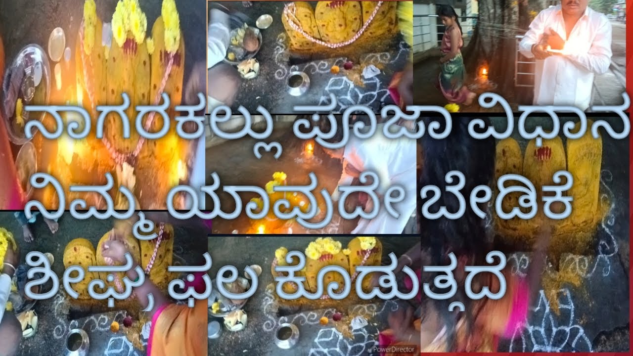 ನಾಗರಕಲ್ಲು ಪೂಜೆ ಮಾಡುವುದರಿಂದ ನಮ್ಮ ಹರಕೆ ಬೇಡಿಕೆ ಶೀಘ್ರ ಫಲ ಕೊಡುತ್ತದೆ
