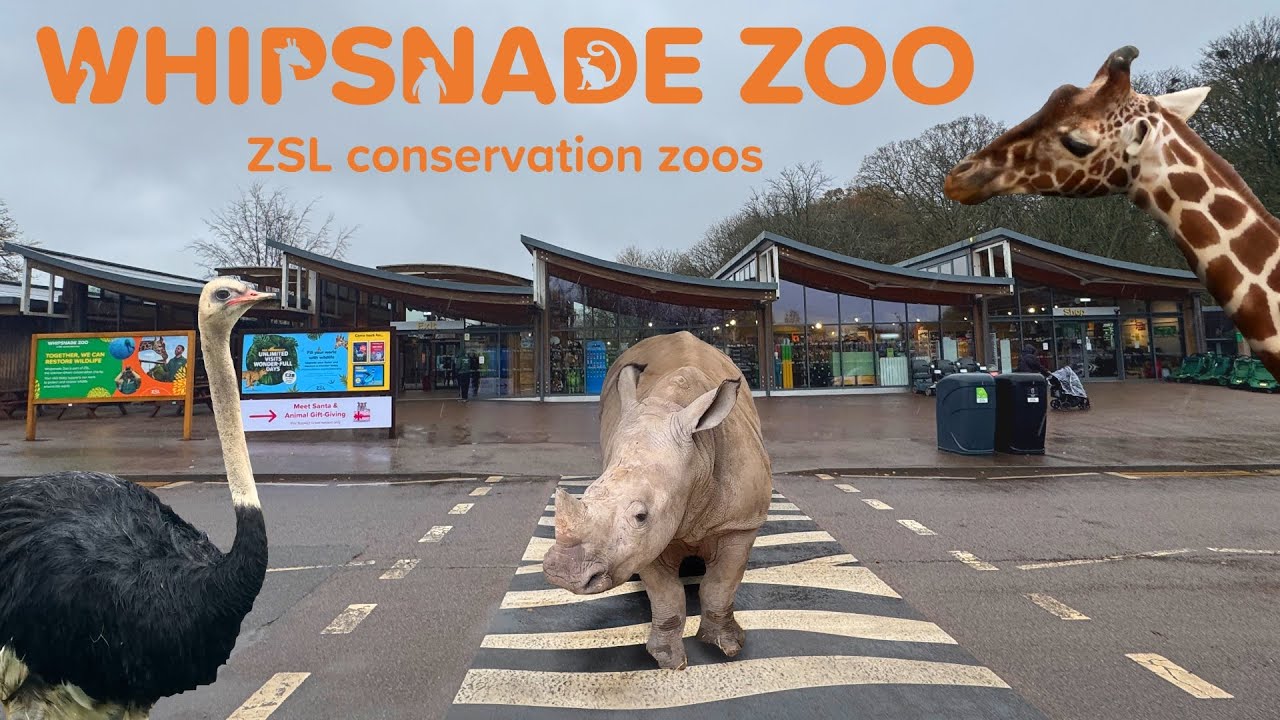 Whipsnade Zoo Full Walkthrough 2025
