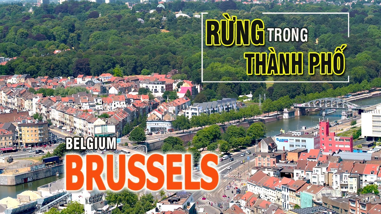 BRUSSEL - 