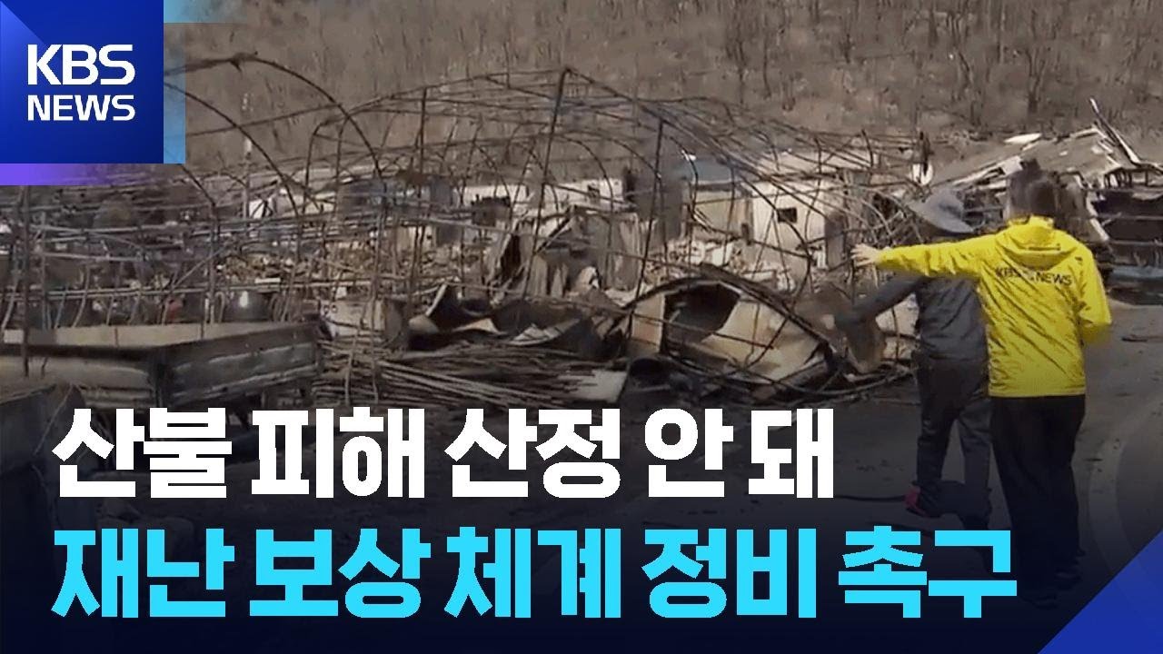 산불 피해 산정 안 돼&hellip;재난 보상체계 정비 촉구 / KBS  2025.09.11.