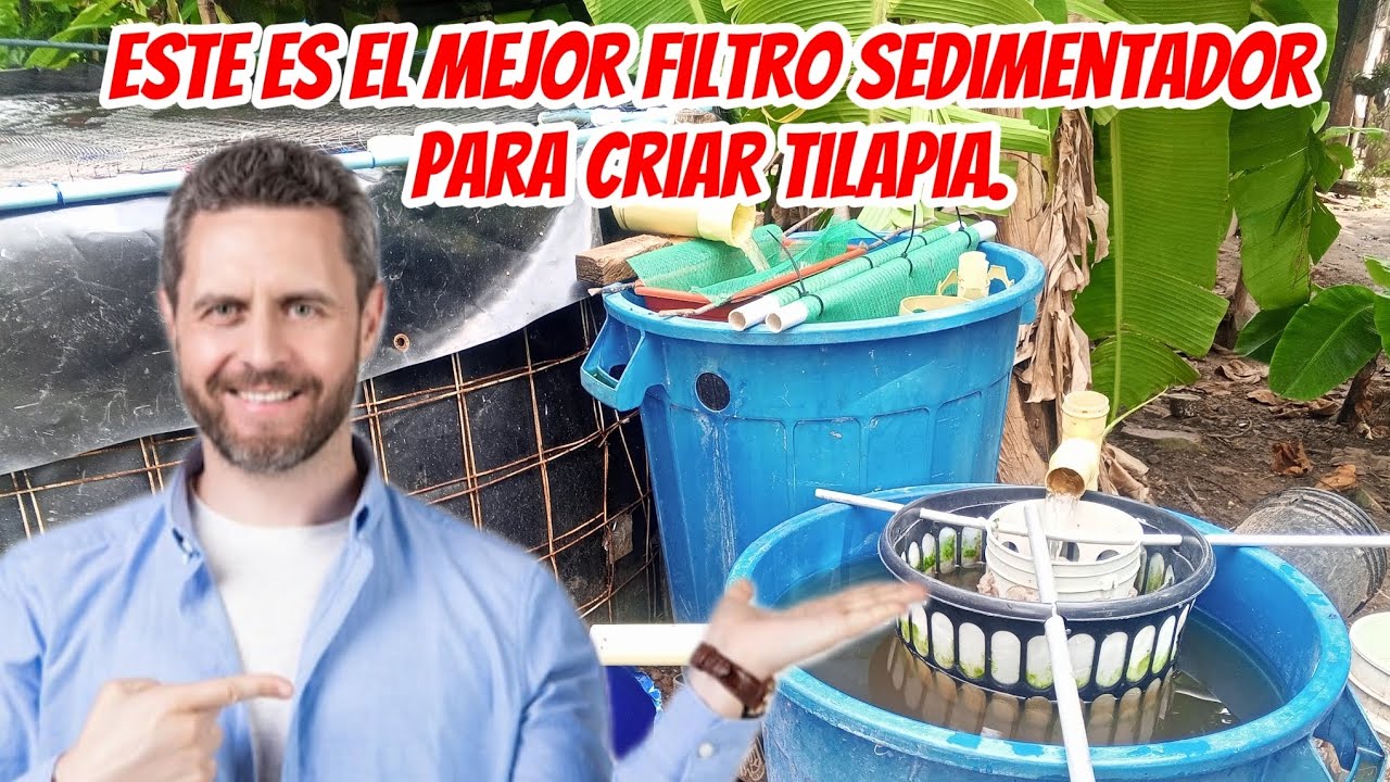 🚀  El mejor filtro SEDIMENTADOR para criar TILAPIA: paso a paso🐟 DIY Aquaponics #virales #tilapias 