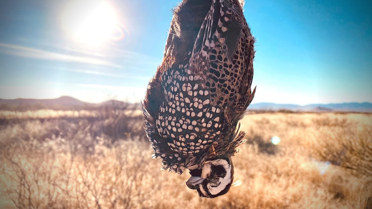 Arizona Upland Slam | The Flush: Season 12, Episode 12