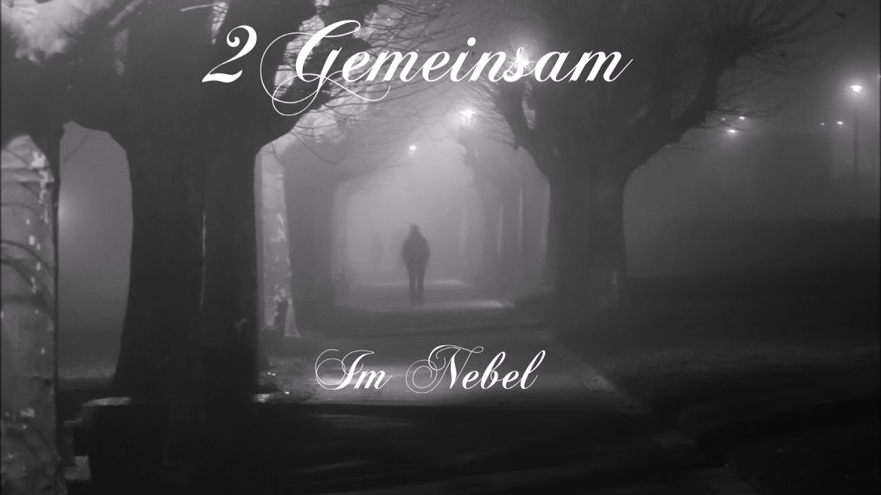 2Gemeinsam Im Nebel
