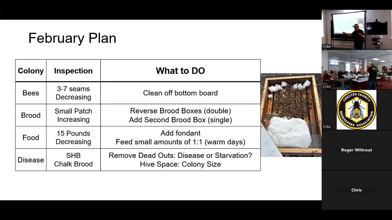 CCBA Feb 2026 -  George D's Bees Brood Food Disease and Queens - Monthly Members Meeting