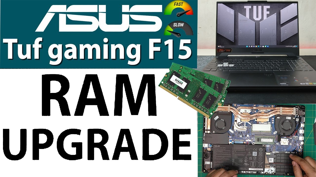 Как увеличить оперативную память на ноутбуке Asus Tuf Gaming F15 FX506H &mdash; 2025