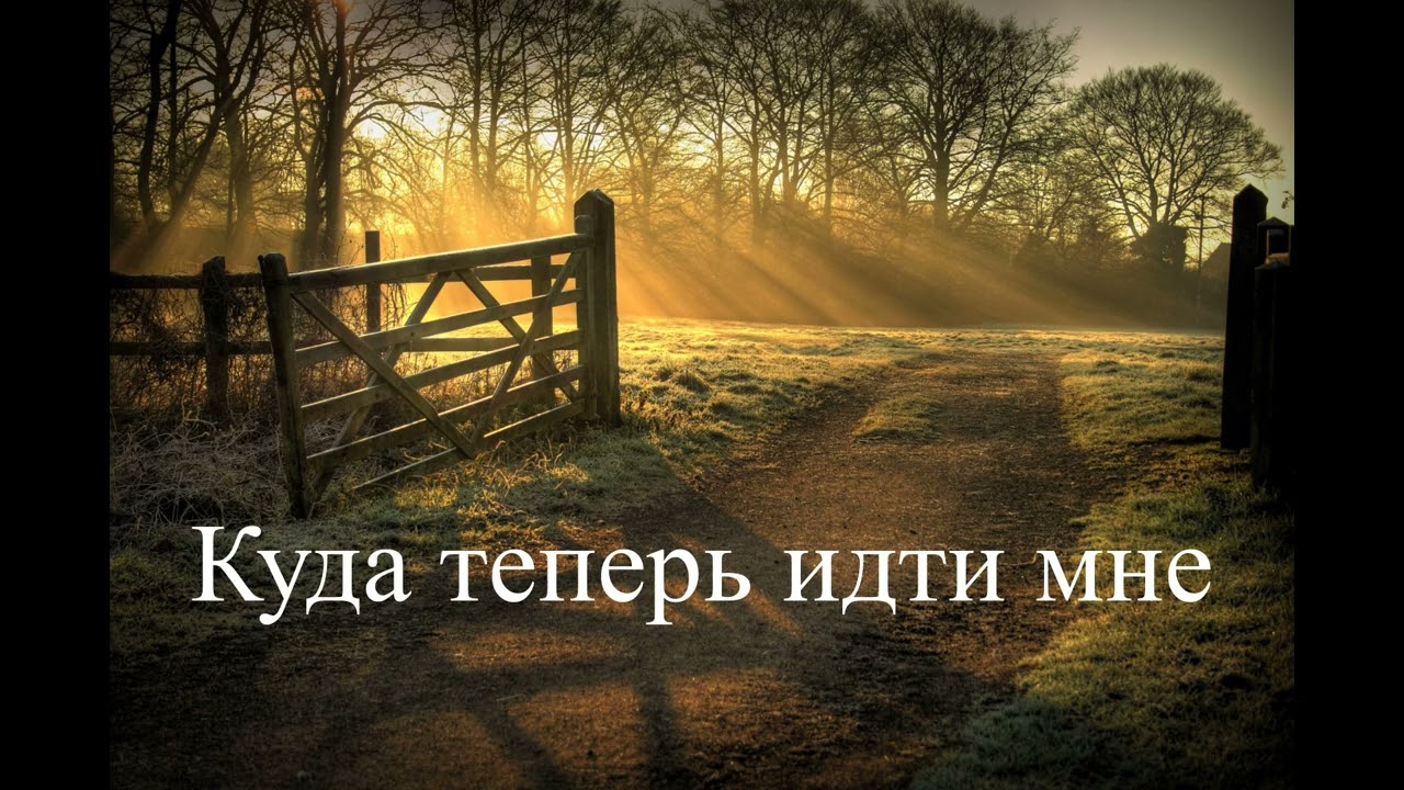 20 февраля 2026 г.