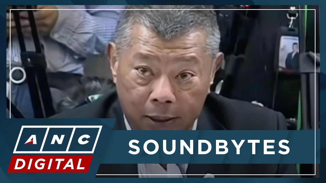 WATCH: Ombudsman Remulla gives updates on cases, lifestyle checks before Senate Finance Committee
