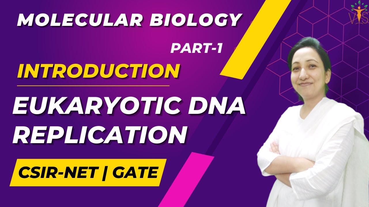 Eukaryotic DNA Replication Introduction