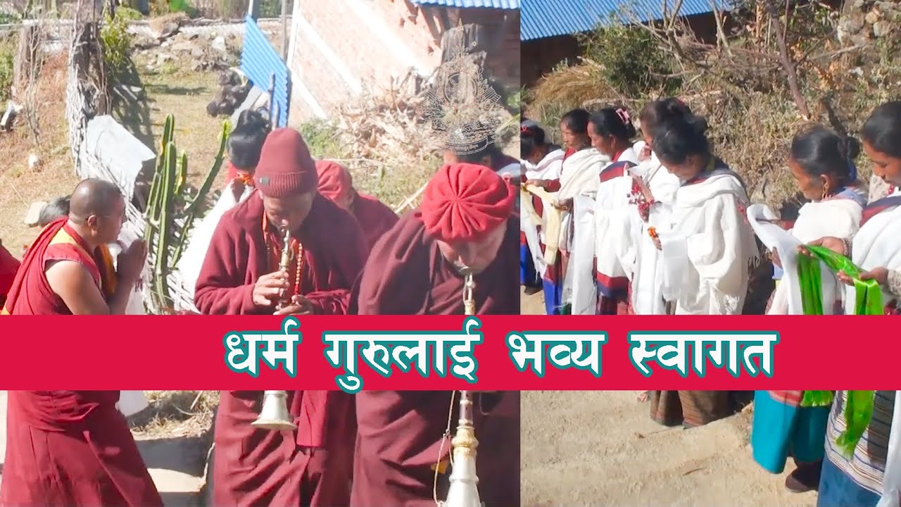 धर्मगुरुलाई भव्य स्वागत गरिएको दृश्य | KHEN RINPOCHE GESHE NYIMA TAMANG || CHAIRMAN OF TBF NEPAL||