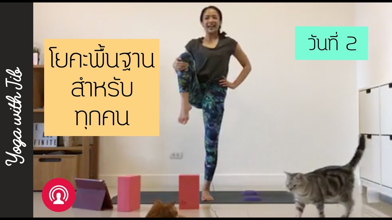 โยคะพื้นฐานสำหรับทุกคน วันที่ 2 เน้นยืดขาและสะโพก LIVE
