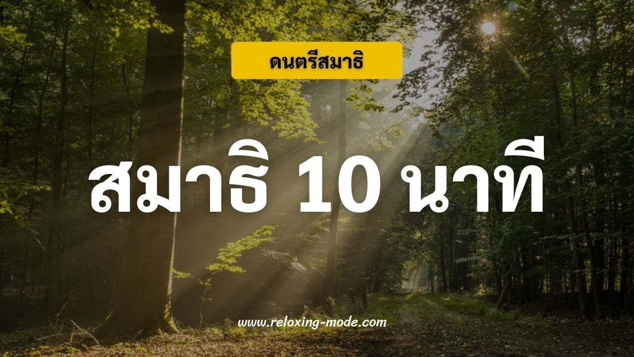 เพลงนั่งสมาธิ 10 นาที ไม่มีโฆษณา นั่งสมาธิก่อนนอน แผ่เมตตา | Meditation Music