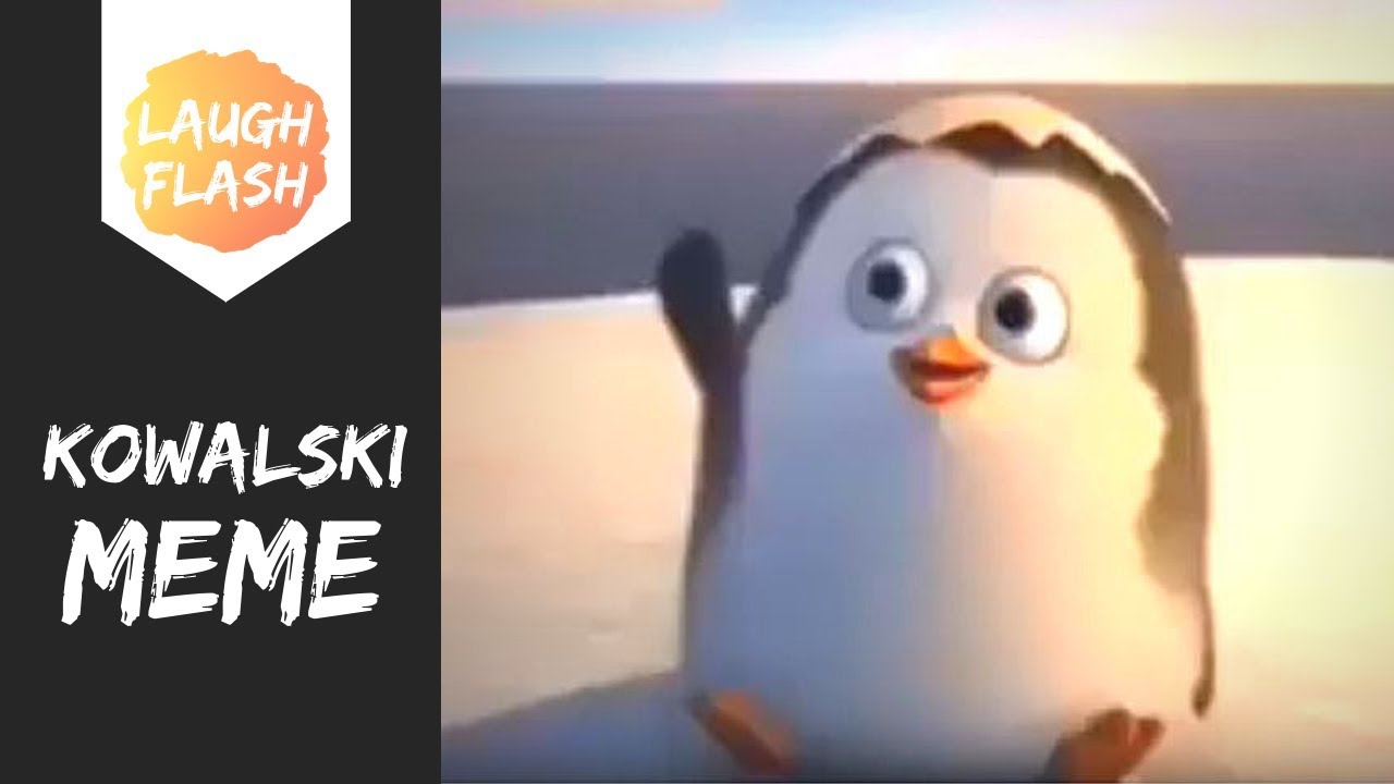 PENGUIN KOWALSKI Meme