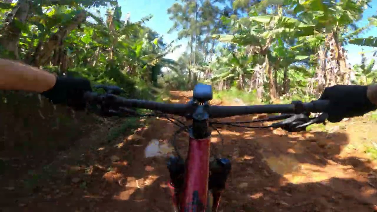Specialized chisel. Devolta nos pedais