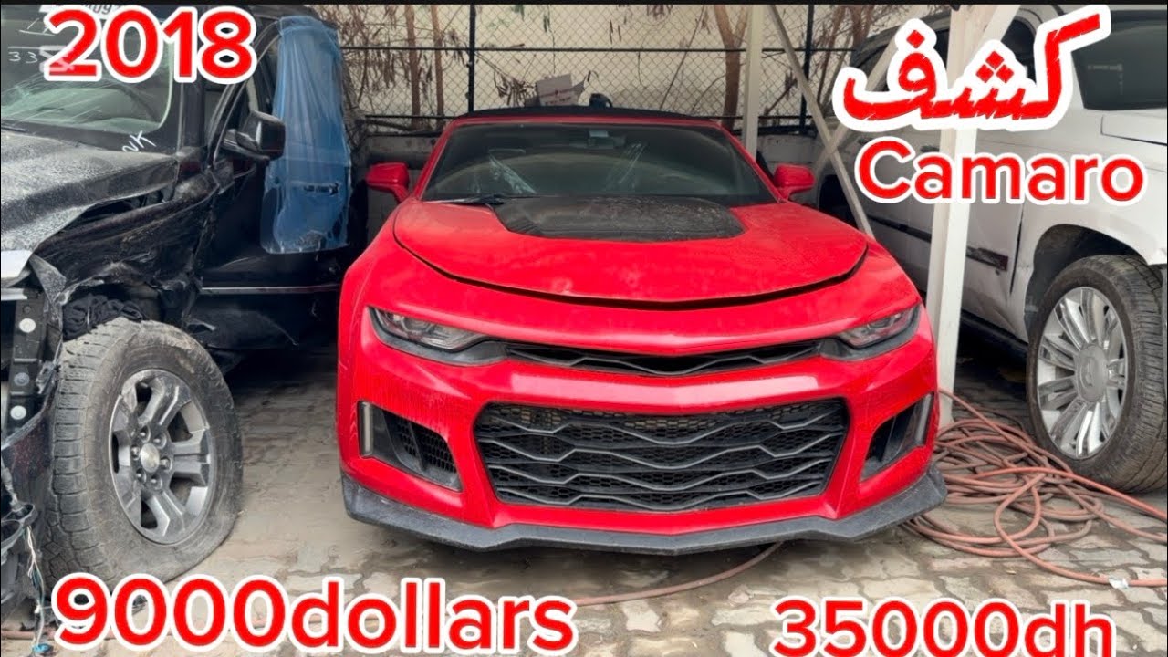 بدون مزاد ثمن قابل للتفاوض معارض الشارقة في الإمارات 