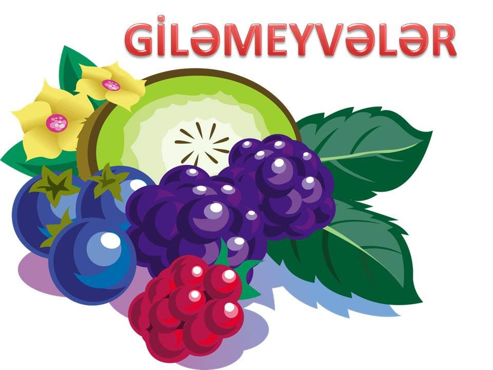 Giləmeyvələr