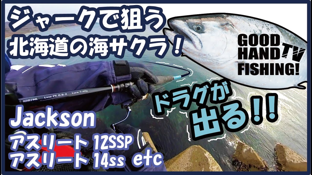 ジャークで狙う北海道海サクラ釣行！50UPの海サクラと出逢う